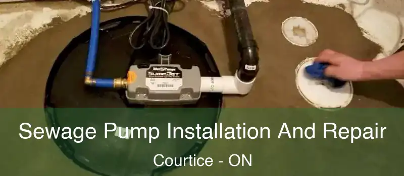  Sewage Pump Installation And Repair Courtice - ON