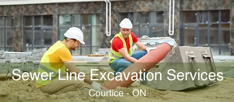  Sewer Line Excavation Services Courtice - ON