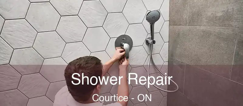  Shower Repair Courtice - ON