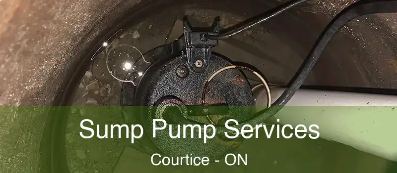  Sump Pump Services Courtice - ON