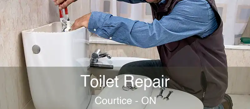  Toilet Repair Courtice - ON