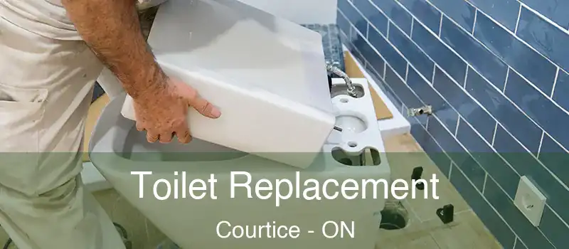  Toilet Replacement Courtice - ON