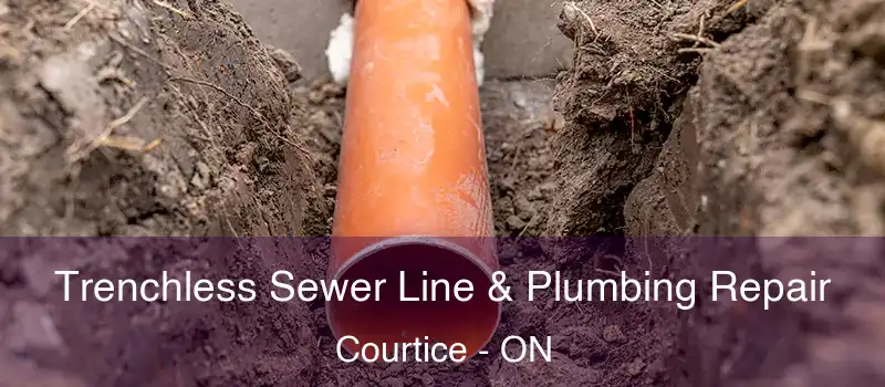 Trenchless Sewer Line & Plumbing Repair Courtice - ON