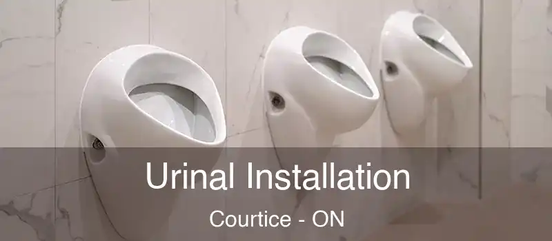  Urinal Installation Courtice - ON