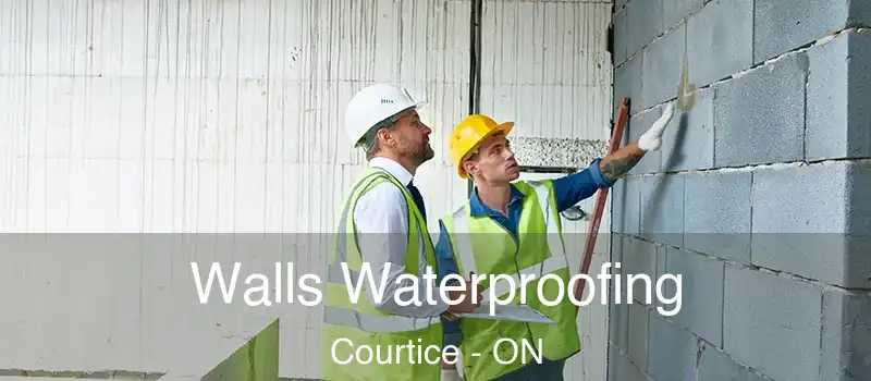  Walls Waterproofing Courtice - ON