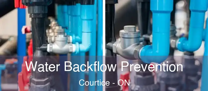  Water Backflow Prevention Courtice - ON