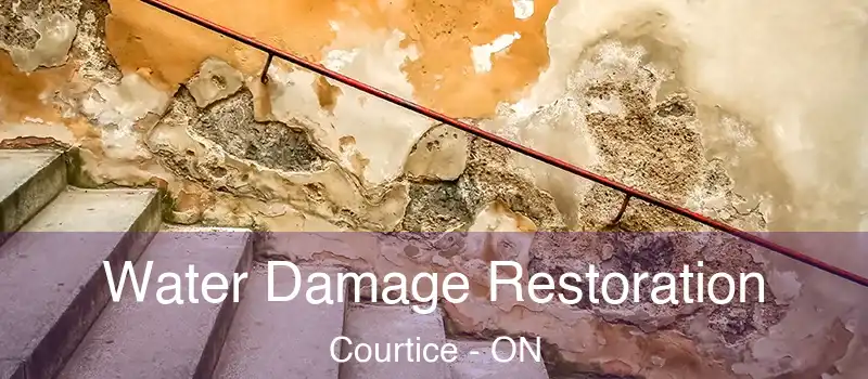  Water Damage Restoration Courtice - ON