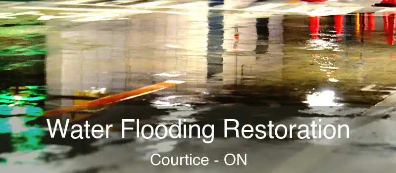  Water Flooding Restoration Courtice - ON