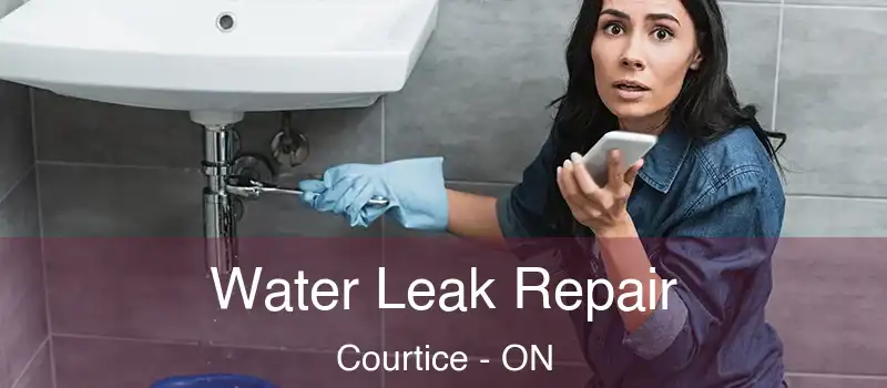  Water Leak Repair Courtice - ON