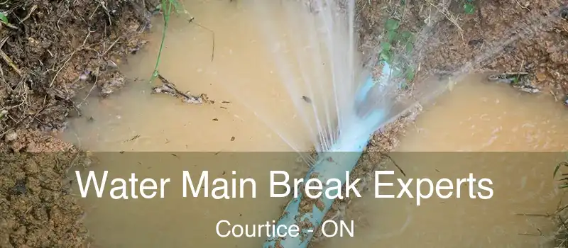  Water Main Break Experts Courtice - ON