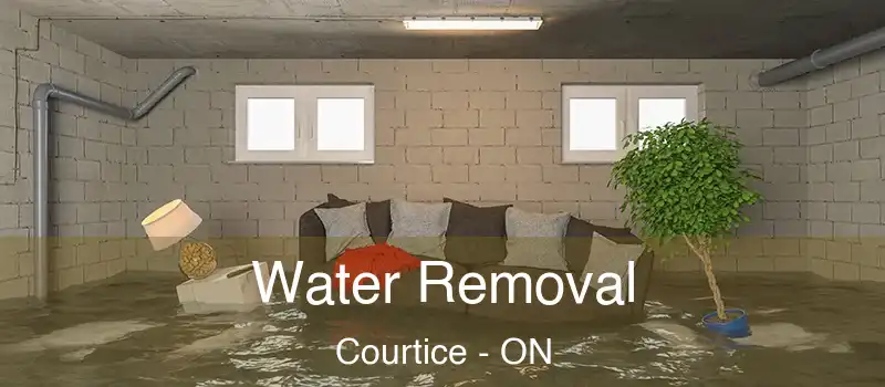  Water Removal Courtice - ON
