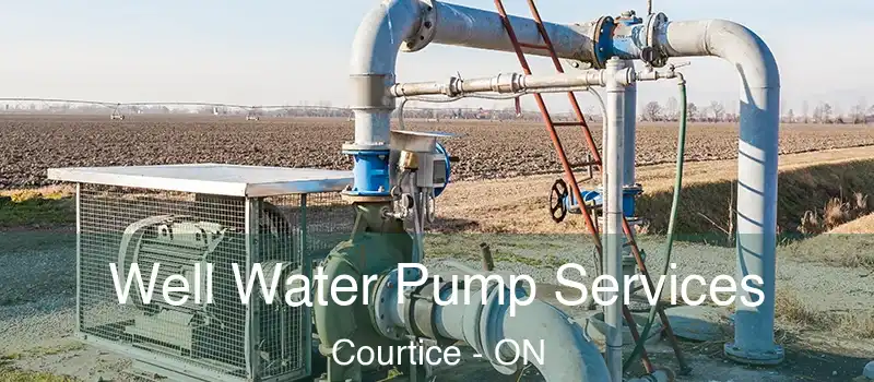  Well Water Pump Services Courtice - ON